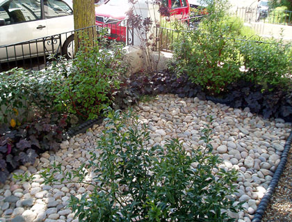 Environmentally sound garden, Brighton