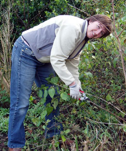 Lisa Attwell pruning