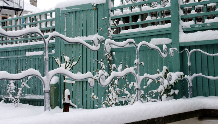 Design by Lilybud Gardens by Design