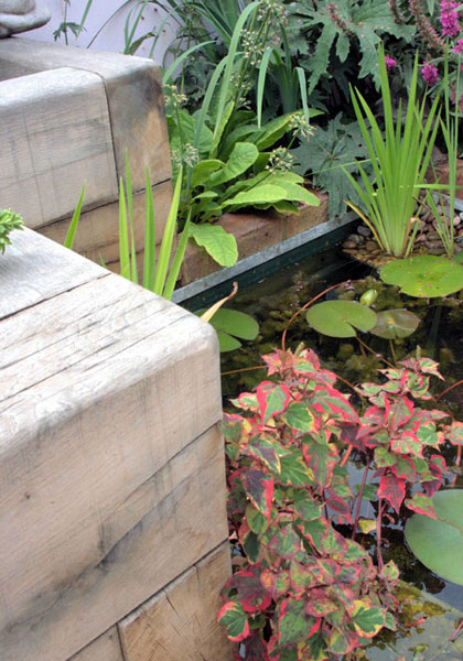 Garden by Lilybud Gardens By Design