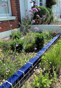 The blue of Lapis Lazuli features in the garden.