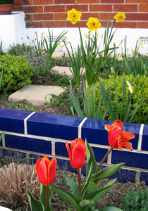 Front garden with relaxed planting