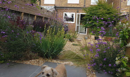 Pocket planting with a seaside feel