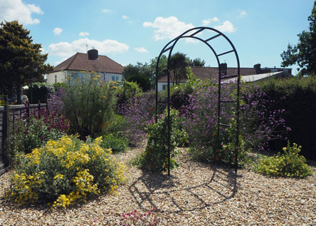 Pocket planting through gravel to minimise maintenance