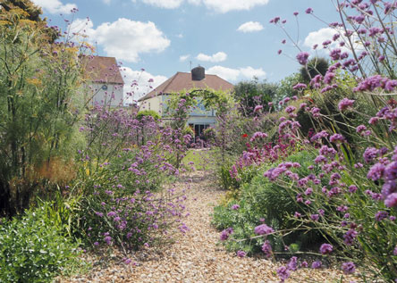 A mix of cottage & country garden style planting