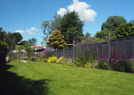 A mix of cottage & country garden style planting