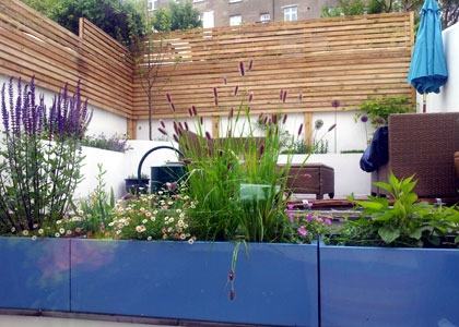 Modern Brighton garden
