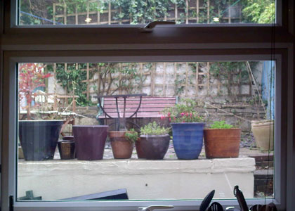 The garden before work began