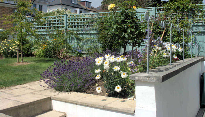 Large town garden, Hove