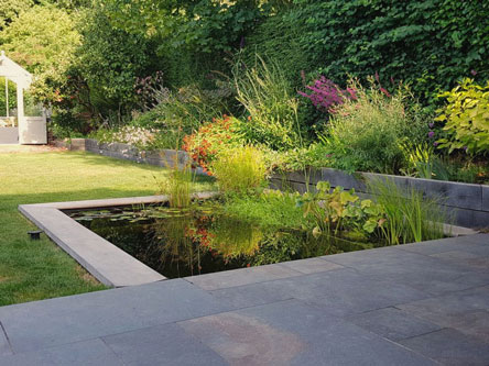 Plunge pool with natural reed filtration