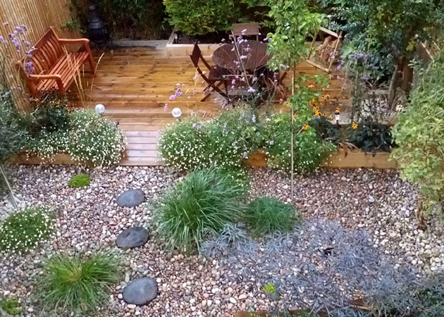 Low maintenance seaside-style garden