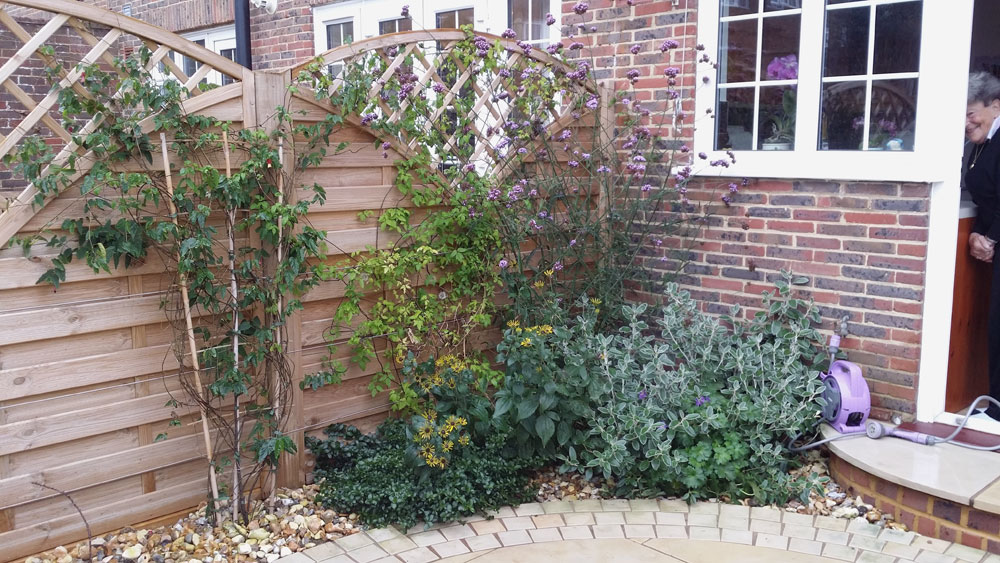 Circular patio with lush planting