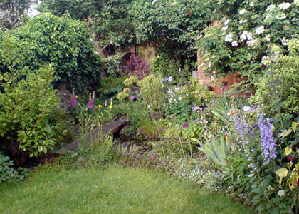 Wildlife friendly garden, Brighton