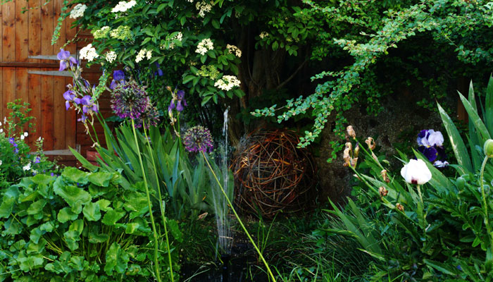 Wildlife friendly garden, Brighton