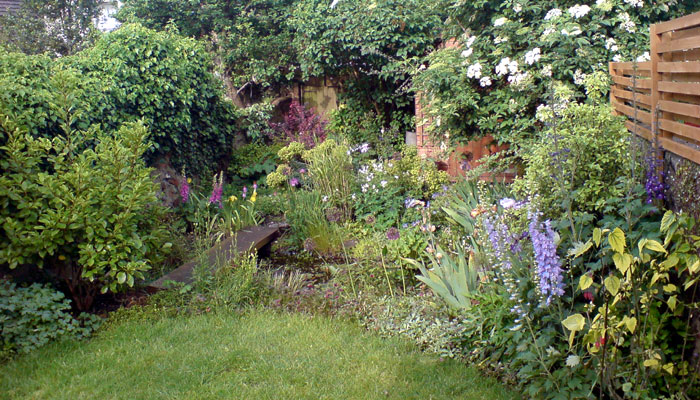 Wildlife friendly garden, Brighton