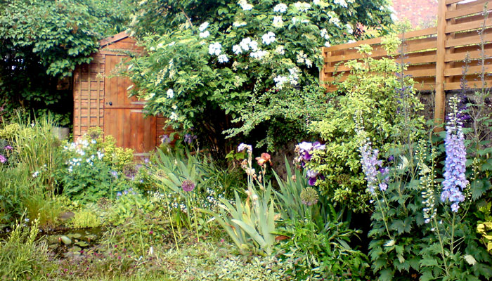 Wildlife friendly garden, Brighton