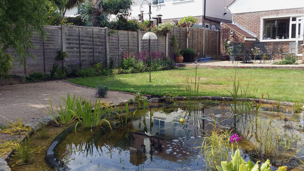 Large garden with wildlife friendly pond