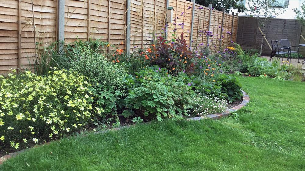 Large garden with wildlife friendly pond