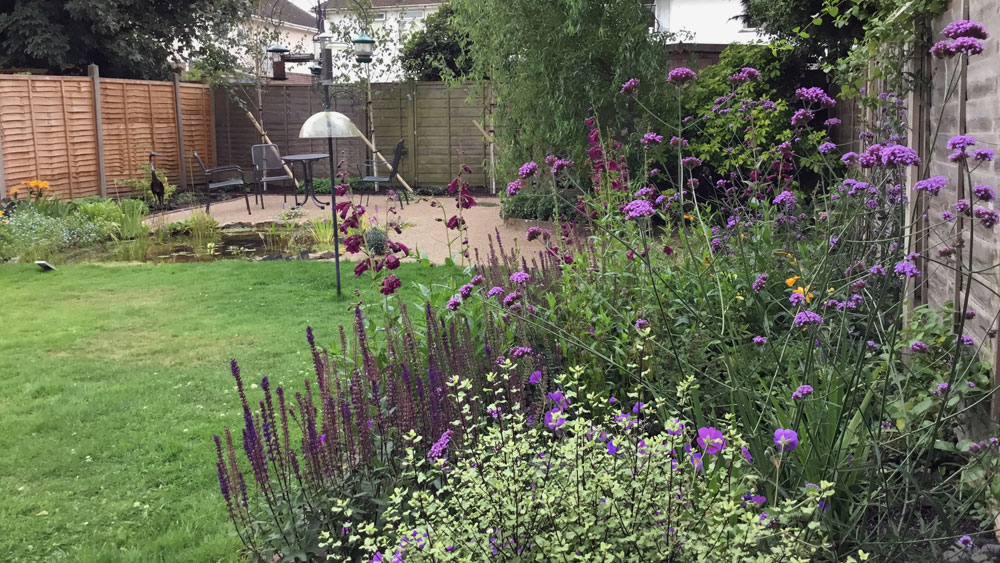 Large garden with wildlife friendly pond