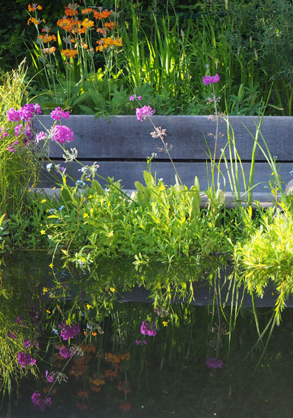 Reflections in a pond Reflections in a pond